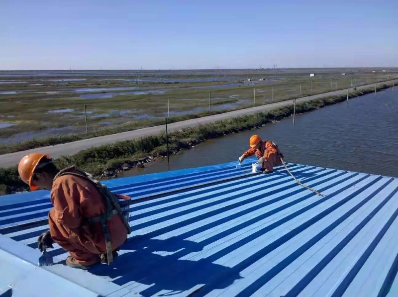 点军钢结构屋面漏水原因